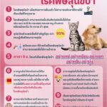 10ข้อ ควรระวังเกี่ยวกับโรคพิษสุนัขบ้า