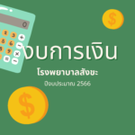 งบการเงิน ปีงบประมาณ 2566